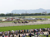 今年最後の函館競馬!