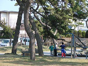 禁じられた遊び(?)