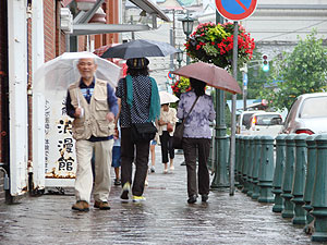 雨、しとしと。 