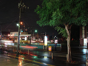雨に風・・・ 