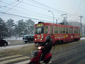 ベタ雪でドカ雪?