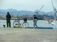 釣春来るってことで。