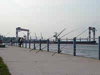 何が釣れるんでしょう?