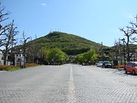 まさに新緑。