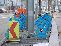 猿、そして、ゾウ。