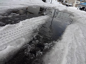 春に向かって絶賛雪解け中
