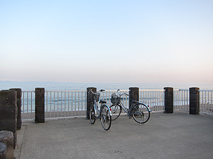 書を捨て海へ出よう…!