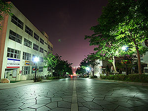 熱帯夜の八幡坂