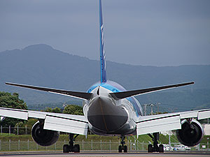 飛行機のおしり!