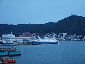 函館湾の眺め