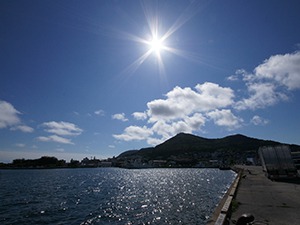 今日は快晴!