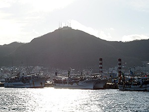 風が強い一日