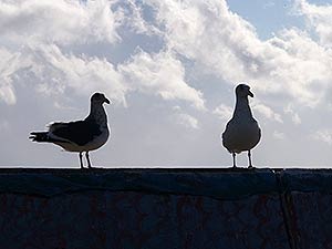 晴れたり、吹雪いたり