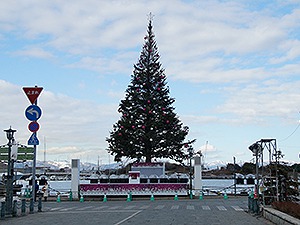 クリスマスツリー、シャキッと直りました
