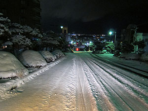 ようやく年末っぽく。