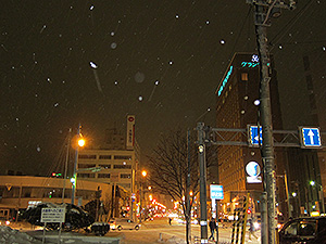 雪がなかった年末はどこへやら