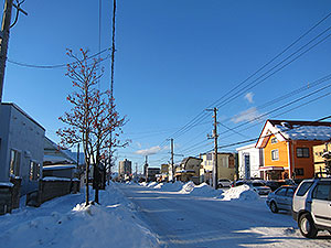 雪国ならではのコントラスト!