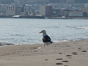 春の陽気