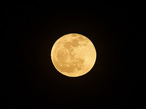 見事な満月の夜でした