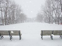 吹雪吹雪 氷の世界