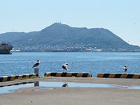 残り少ない夏の青空