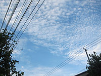 すっかり秋空でうろこ雲