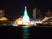 ホワイトクリスマスはどこへ?
