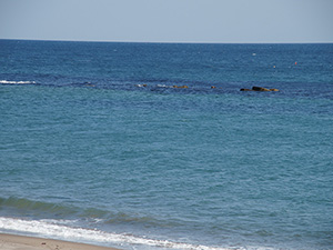 t̑XlAC`I 