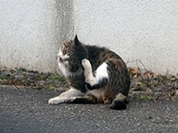 春がきそうで来ない4月