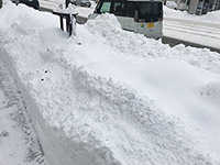 雪また雪
