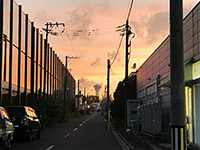 夕暮れとタワー