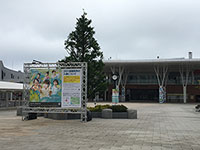 函館競馬開催!