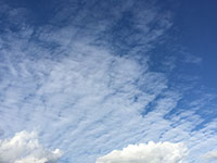 空高くyossy肥ゆる秋