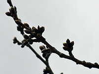着実に