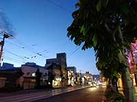 夏至まであと少し