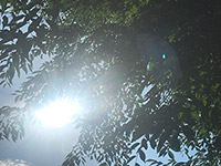 夏の太陽