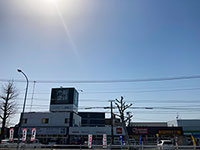 すっかり春の日差し