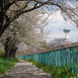 DaysBlog