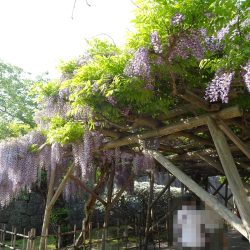 DaysBlog
