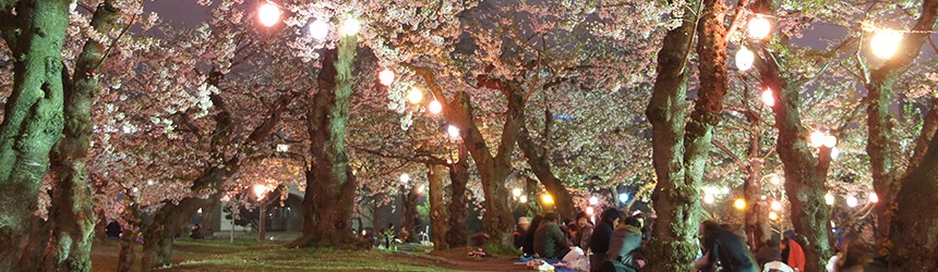 壁紙セレクト