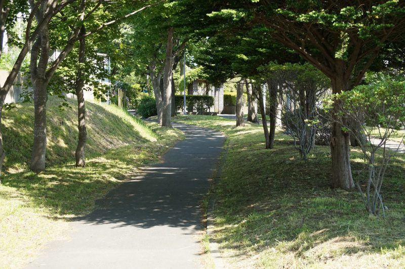 川原緑道と緑園通