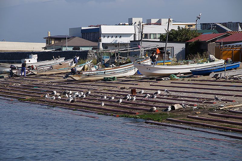 函館漁港付近