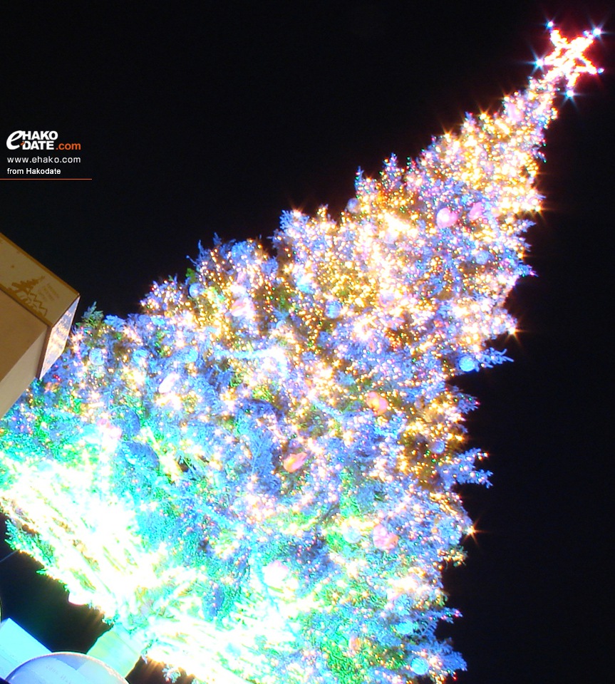 夜のはこだてクリスマスファンタジーツリー 函館フォト散歩壁紙 函館市 道南地域ポータル E Hakodate