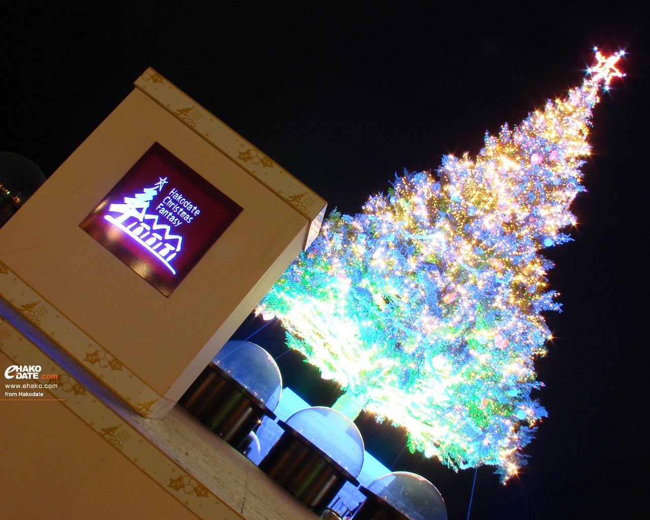 夜のはこだてクリスマスファンタジーツリー 函館フォト散歩壁紙 函館市 道南地域ポータル E Hakodate