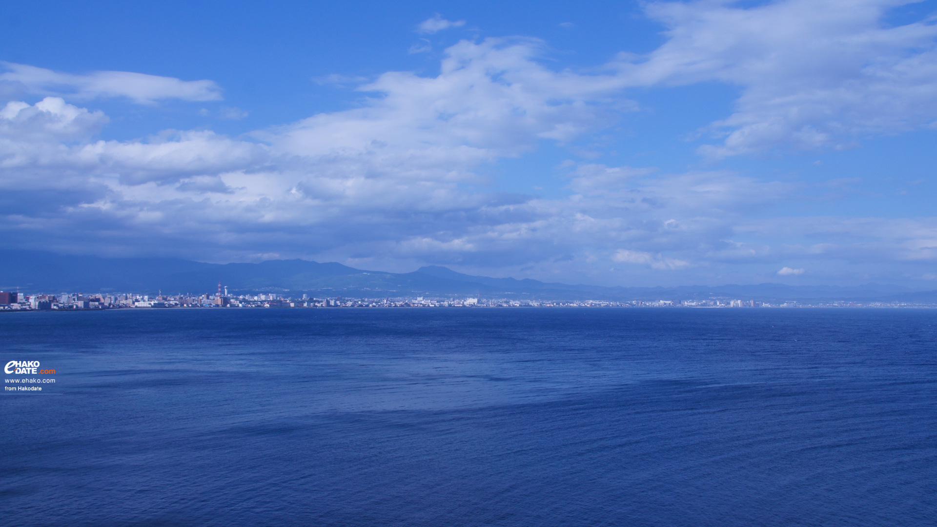 無料壁紙 サンゴ礁を撮影した美しい写真画像まとめ 海 空 島 Switchbox